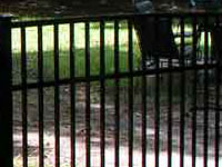 Raleigh Fences Black Aluminum, Wrought Iron Fence with Chain Link Fencing